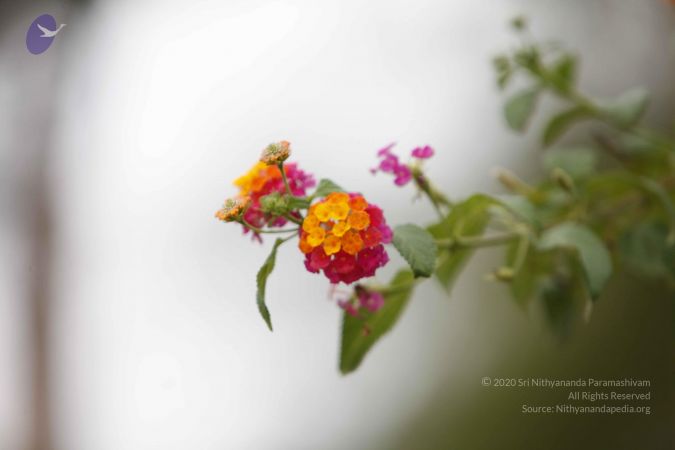 20130716 Photo 1146 1IPC3lfqkc5kw7N8QH4oT312B1lYxWLGH.JPG