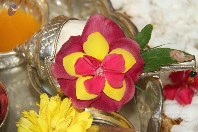 20130719 Photo 1006 1CtQcd5YRfeS3xLG7TDY-yGx22Ljg-RqC.JPG