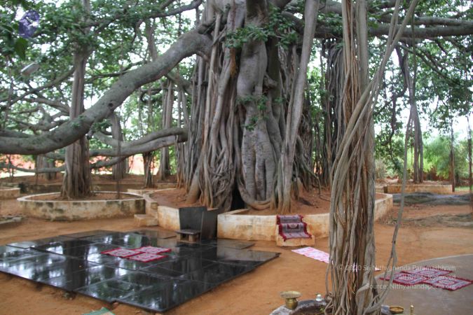 20130720 Photo 1085 1YqfSXaaABlLjbz2DCwzjtdtLqh6dw1n3.JPG