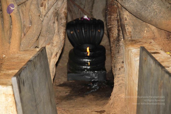 20130720 Photo 1097 1Gn6 IfXe0OdqR6xZMNpHKiDVeLvmlsCQ.JPG