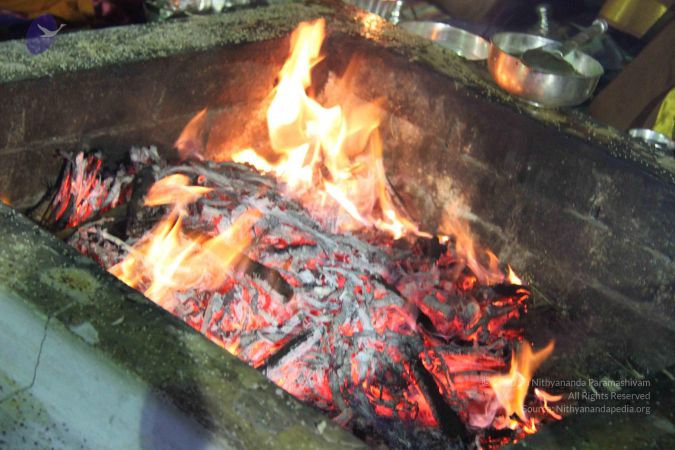 20130722 Photo 2631 1l5SFKq6sbUJhCcc5lBlSq4-499eQF0Mc.JPG