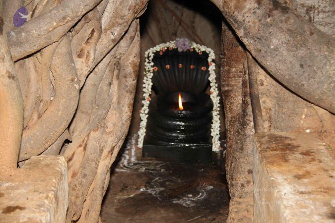 20130725 Photo 1008 1F8jZo47gANzQoA3OKBS3ltM-rt9wtGrL.JPG