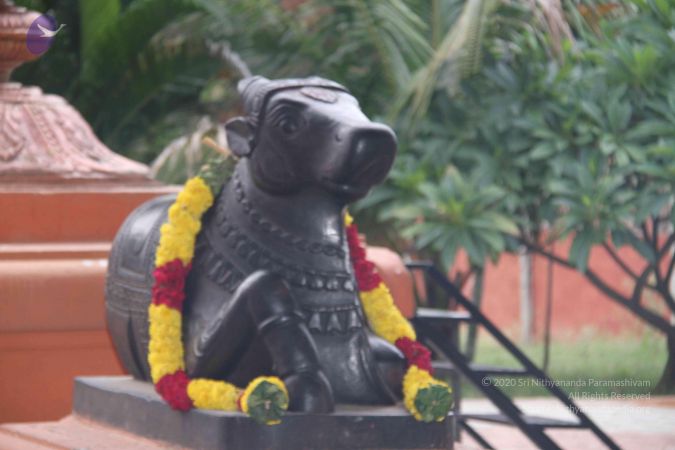 20130726 Photo 1001 1jOpPIg6l8N4CBtjnYxv-LmzpXms9Mc2a.JPG