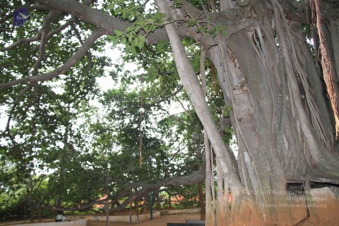 20130726 Photo 1006 1IyAp-s70Fd9JXlAUiySlflbgfEUB8QtJ.JPG