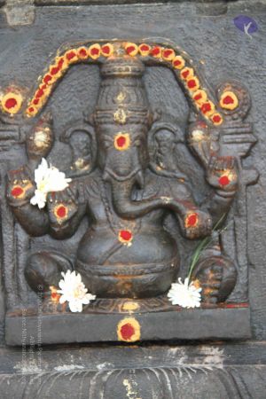 20130728 Photo 1015 1JELAxjQMiU7NsjPIcCyqeBqqK-udtf3m.JPG