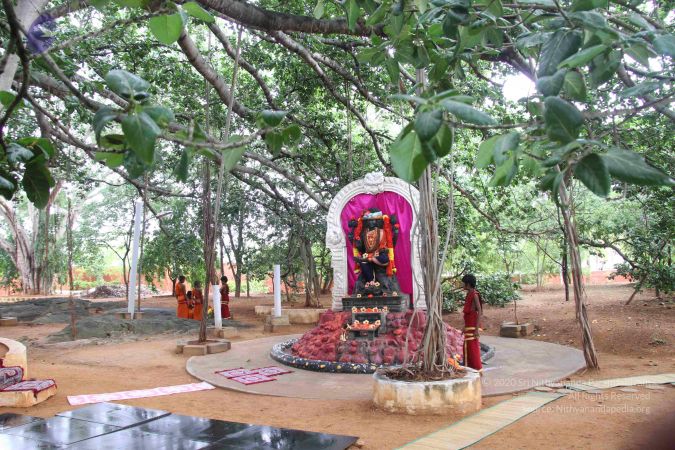 20130728 Photo 1056 1NJQ7UGbwPVB0zur7jw6DcYZRXiAyGtEh.JPG