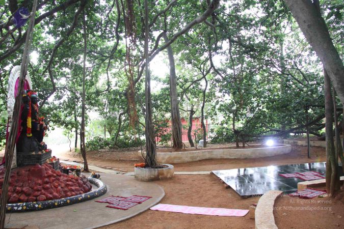 20130728 Photo 1058 1PO0-PU4v6GilYOVqsRQpJJUmnrmzk2o5.JPG