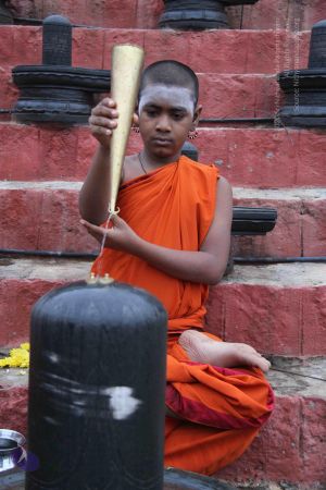 20130729 Photo 1015 1w3KuPCxQWbxxC6WD-1Hd0h7pWlWwmI2L.JPG