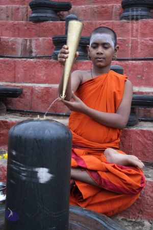 20130729 Photo 1016 1kvHDlQE6gAxnYUealhB5XC2D-YauUH0e.JPG