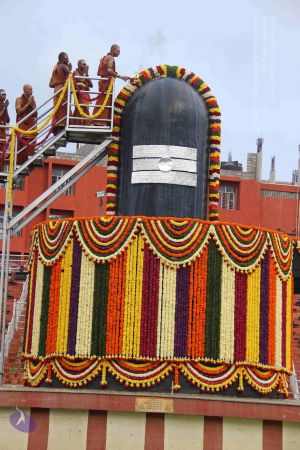 20130729 Photo 1026 13ra1a~fnY55KTjuLduaSurpHPXTORU7.JPG