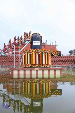 20130729 Photo 1027 1aQ3vuNcQdTTx08JjTS3lnANhKiRAq6CF.JPG