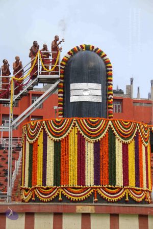 20130729 Photo 1032 1wW507LHYDIOqrcb1SRTOQKce nnixnK6.JPG