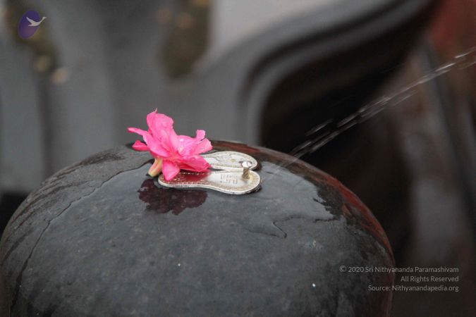 20130729 Photo 1051 1vheqRHKhWG-0XiECrI8xLlQ4hTan5Cmu.JPG