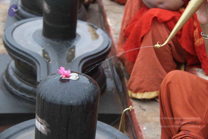 20130729 Photo 1052 1G-7wgwGuqOO9f01lFDo-V9cw7sCHF6vE.JPG