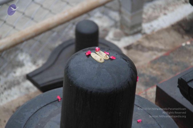 20130729 Photo 1056 1htPlX82GzGuVXXGP32taQROQoxTZn3Xk.JPG