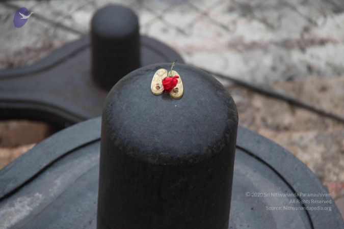 20130729 Photo 1057 11VIUgHGJH3VMMFsgQFTP0pj6CrvbEFPJ.JPG