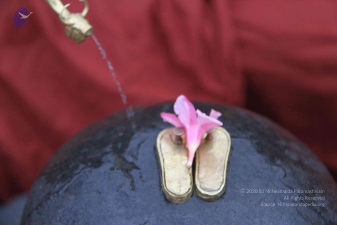 20130729 Photo 1059 18qvpiDIG5wnHKnXswP8FPC8-znWv2OCF.JPG