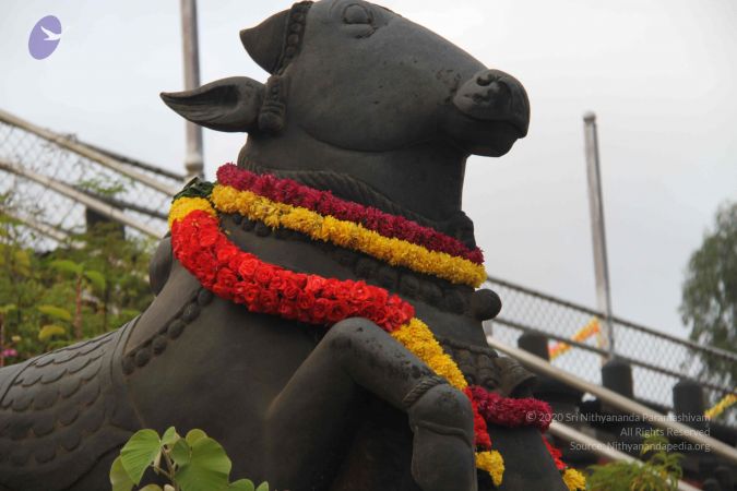 20130729 Photo 1108 1Mq4 SvSxE86WieO7xvM1wHU6kpw7E0Sy.JPG