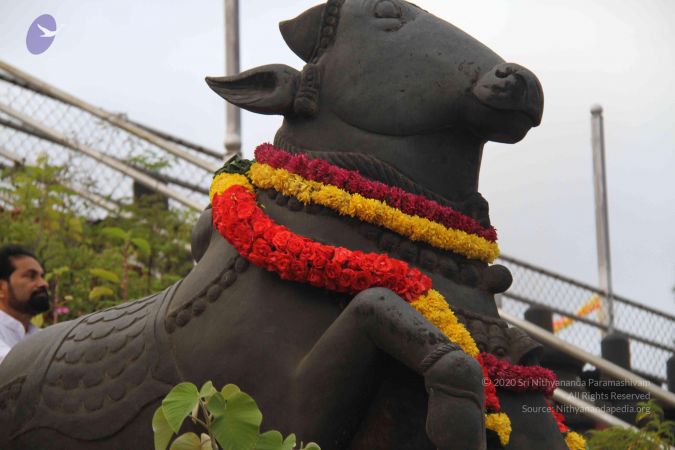 20130729 Photo 1109 1oRj25dyfzEfdkurp~qhvOJwBS8-Xe2S.JPG