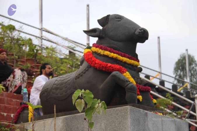 20130729 Photo 1110 1Iq3nVQOBIwl96HNoFyAXioe0r oecNdu.JPG