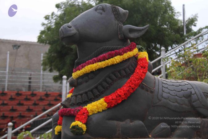 20130729 Photo 1112 1VHyOCIZ9hCcLAWgr4IO1lTc4qfZH6XgG.JPG