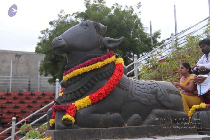 20130729 Photo 1113 1wie3RZmaR mViM9lJMcyYlA0d2y0CVxq.JPG