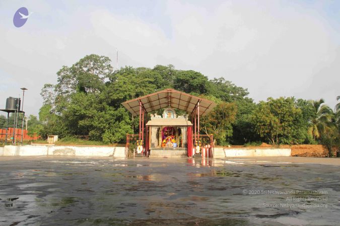 20130802 Photo 1166 1kZevYfcG9XW-T0OJ9BZ2jcw3ePGw4yDJ.JPG