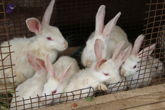 20130803 Photo 1081 1Zy-aT8bEEBLcPflNS11yfAE6-dcJZDkV.JPG