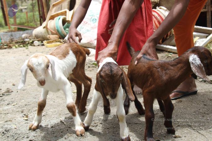 20130803 Photo 1140 1HtDF7EVXkrCvwFxGlb1-NThO7VCjMZUJ.JPG