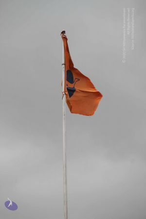 20130803 Photo 1182 1bOW5SxfxqjP38VjdhejYoqwlvKtqjkST.JPG