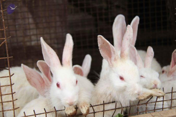 20130803 Photo 1192 1mgDY6-JQGzJmsURtHBa-wyOpwaaO8WPp.JPG