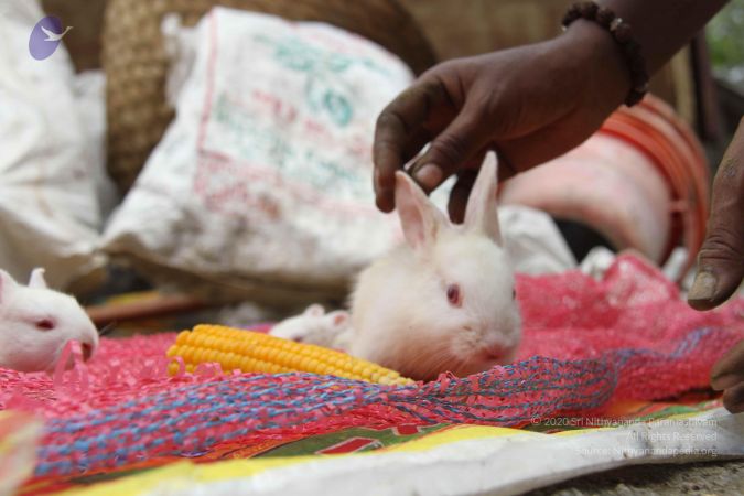 20130803 Photo 1197 1yAR4z33lfswIZEau2mn9otykPXD4NCxY.JPG