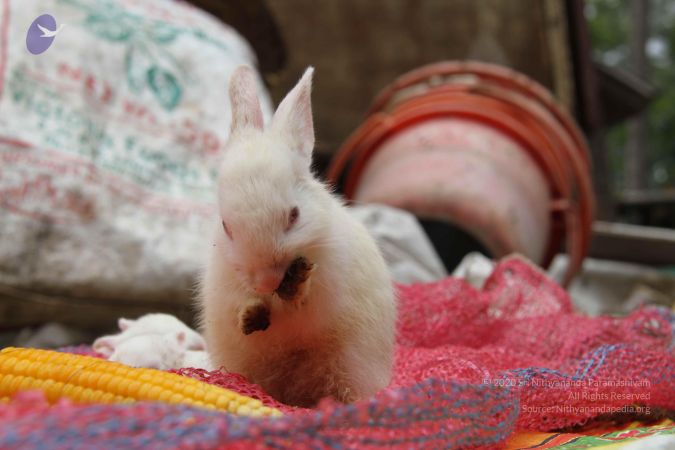 20130803 Photo 1198 17HI6iuDvme20JSLR8HKOoEsUeBE2UZuh.JPG