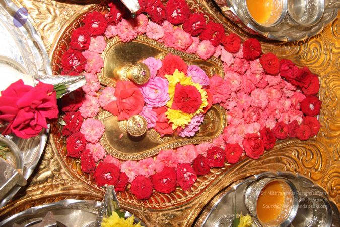 20130815 Photo 1002 1U5Yz5KQ-QkQ6cL8rWlIbsJyK4bt0svEz.JPG