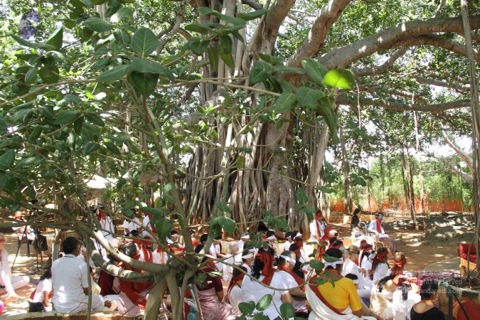 20130903 Photo 1144 1VqlmmgMDGySd9WnSAyEsEmdA9iB5kHpE.JPG