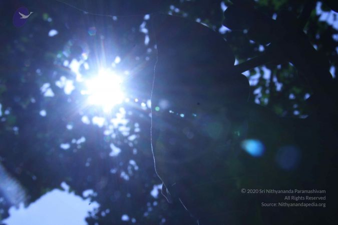 20130903 Photo 1152 11sK8R91n8l2ZMzZeptmMPtGZuTP1fRf0.JPG