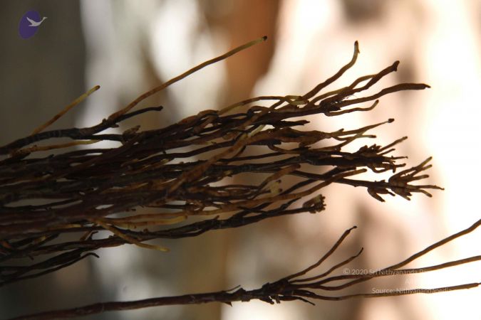 20130903 Photo 1154 1P-q5xrKurVJ-tok6d2YFH9wgNPmEoEPM.JPG