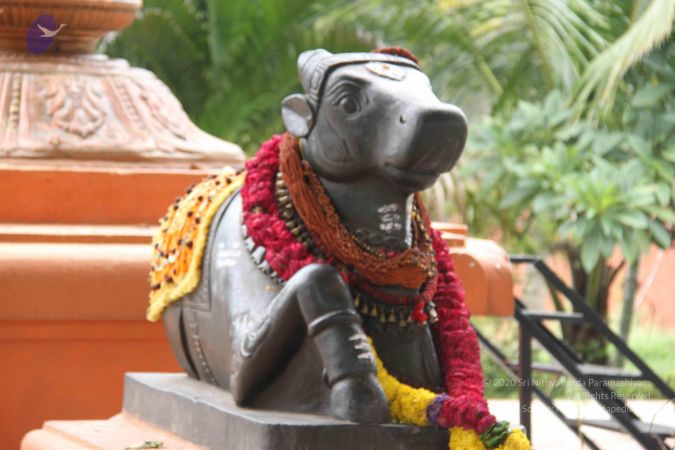 20130907 Photo 1040 1Es hPHW2qMTDv-fzhD3HxLoL4rneYi f.JPG