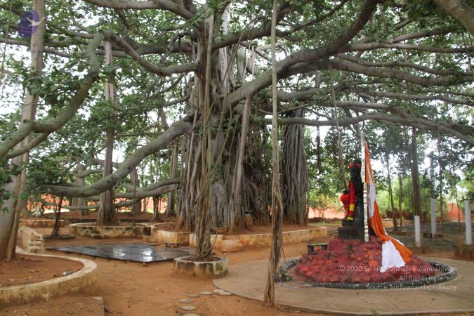 20130907 Photo 1051 1BBvaRvvACymocQVSpHx2EN8oIf0mEXRu.JPG