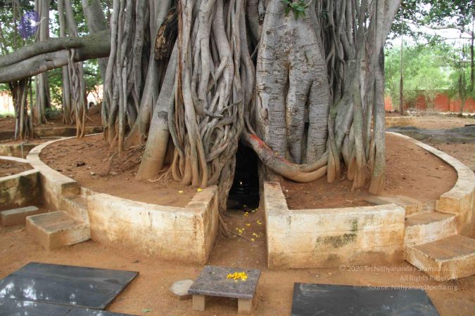 20130907 Photo 1058 1hk0hcqohW481Sq0BfzmVuRq0Z71z5ylK.JPG