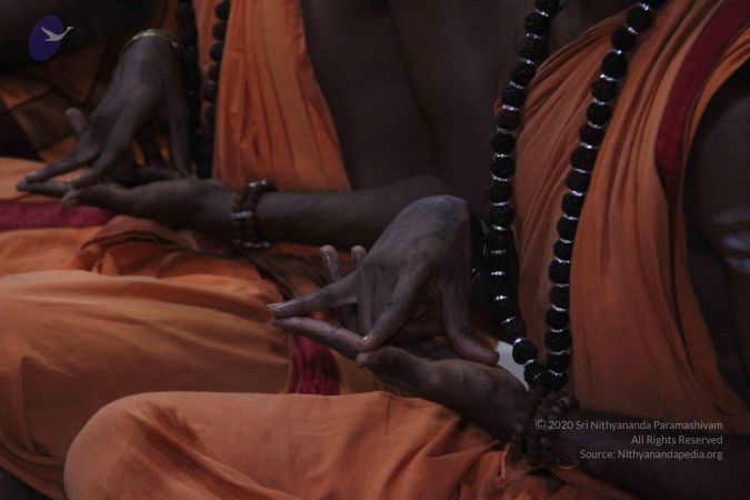 20130909 Photo 1004 1xAt6VV78hDEyQvNQ0TeHJQ5Ni-VVvdAy.JPG