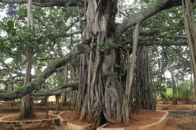 20130910 Photo 1049 1ldZdhvbryMw k8TGojQWRyLOIzMEb0cu.JPG