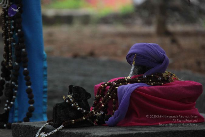 20130911 Photo 1035 1wjts75ut6RdYe4-VVe-ZJO11wwiLAWpu.JPG