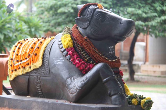 20130912 Photo 1071 1K2y7YTwyLnxmXGZU5A8tbNRP3xbGoagq.JPG