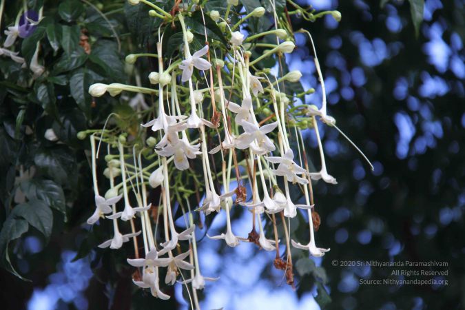 20130913 Photo 1036 1XFqtLa7Gu1wamGaLKsBXbrxXJ tDBa2N.JPG