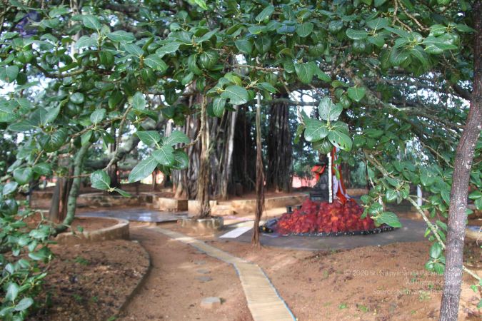 20130913 Photo 1043 1BeygWuD2VqYOnpI3kUw8inAquU7n816L.JPG