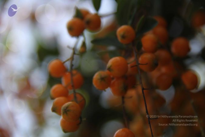 20130918 Photo 1025 1c3imf--Ll5cT2OEznekOhjUi60T3uEHj.JPG