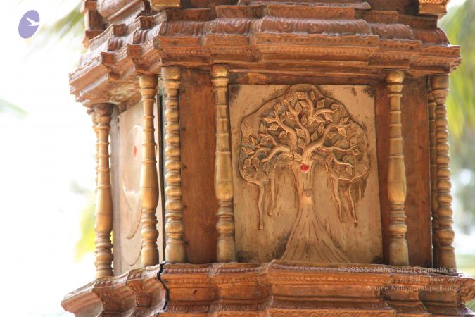 20130918 Photo 1066 1AprXs4kSZ0nmje3DYzfedkcEZw0RID96.JPG