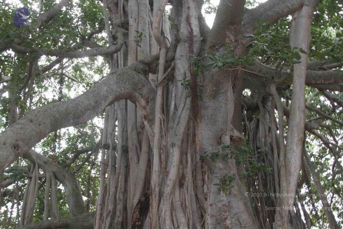 20130919 Photo 1079 1siJYkNPEDTX99rRC2EWyvaKTOIsgC9r-.JPG