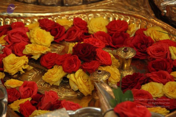 20130921 Photo 1010 1sl1zvf8btqLcKQaGCzIke6B8mqo8g8IJ.JPG